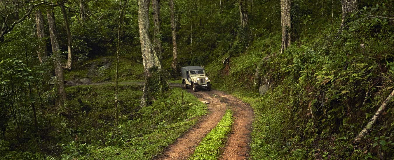 Sathram Jungle Safari